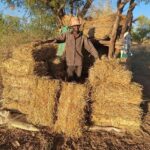 Sheperd Moyo | Fodder Farmer