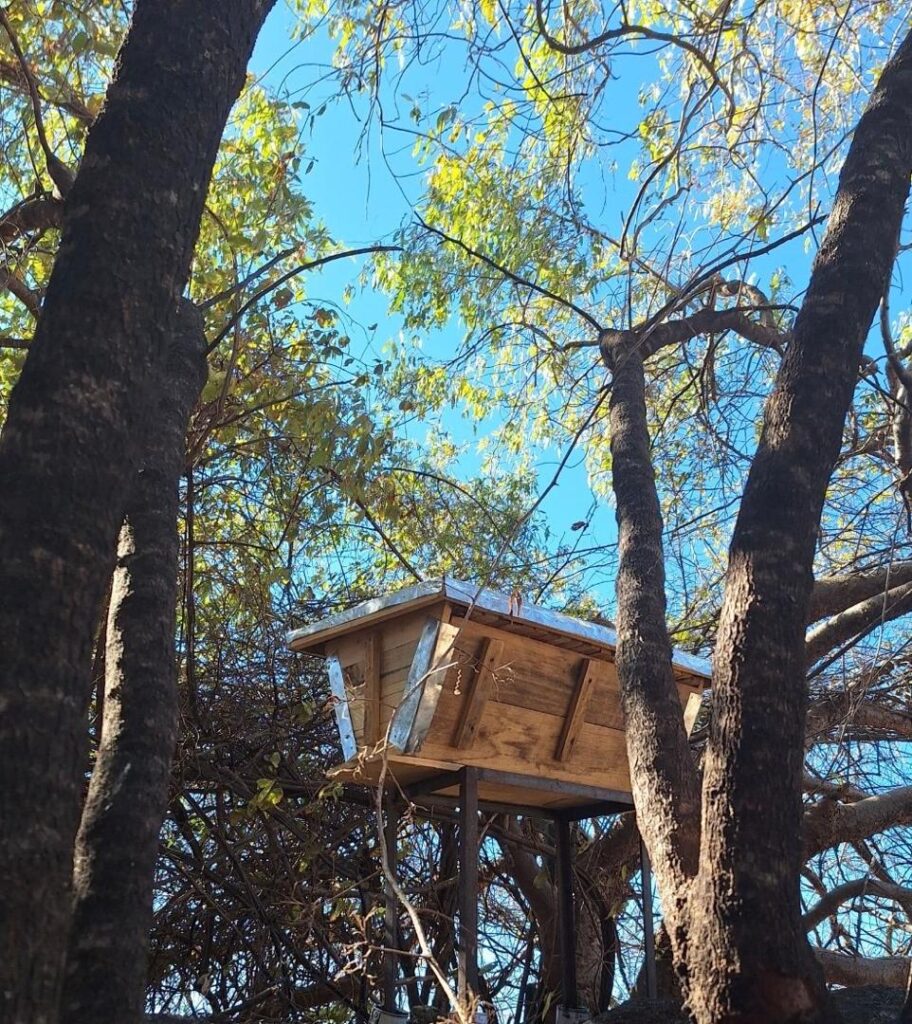 Beekeeping: A Climate Resilient Livelihood Opportunity for women