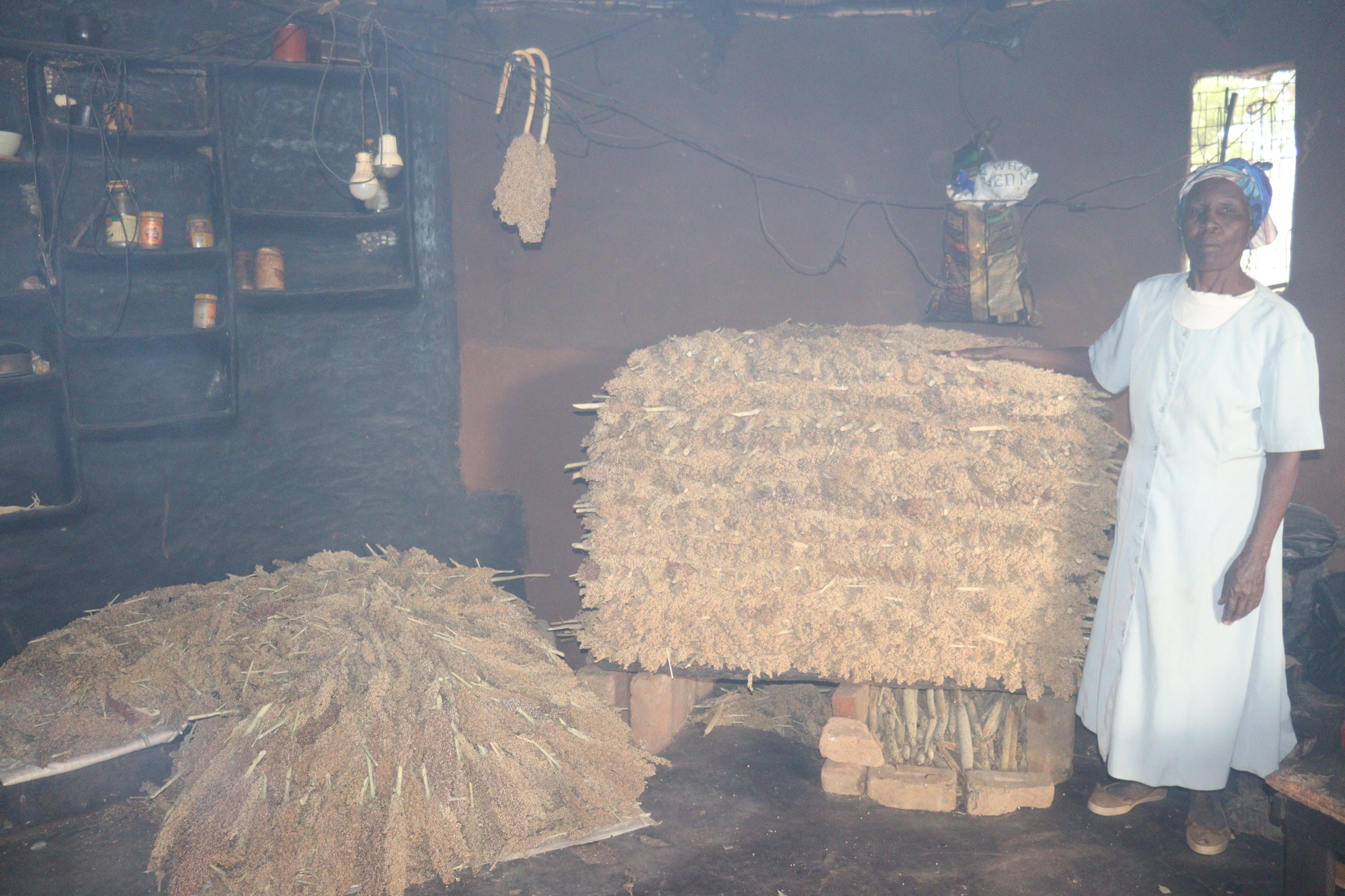 DIVERSIFYING FOR RESILIENCE: A FARMING FAMILY’S JOURNEY
