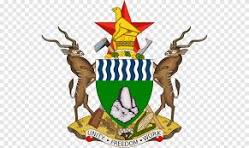 Zim Logo